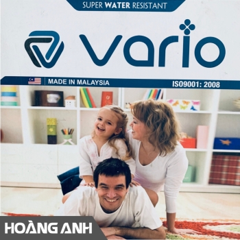Sàn gỗ Vario Malaysia