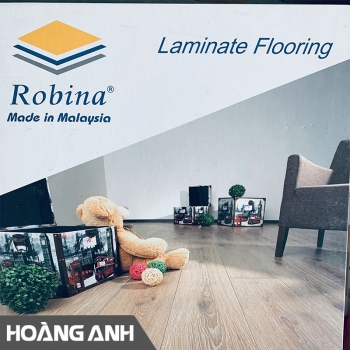 Sàn gỗ Robina